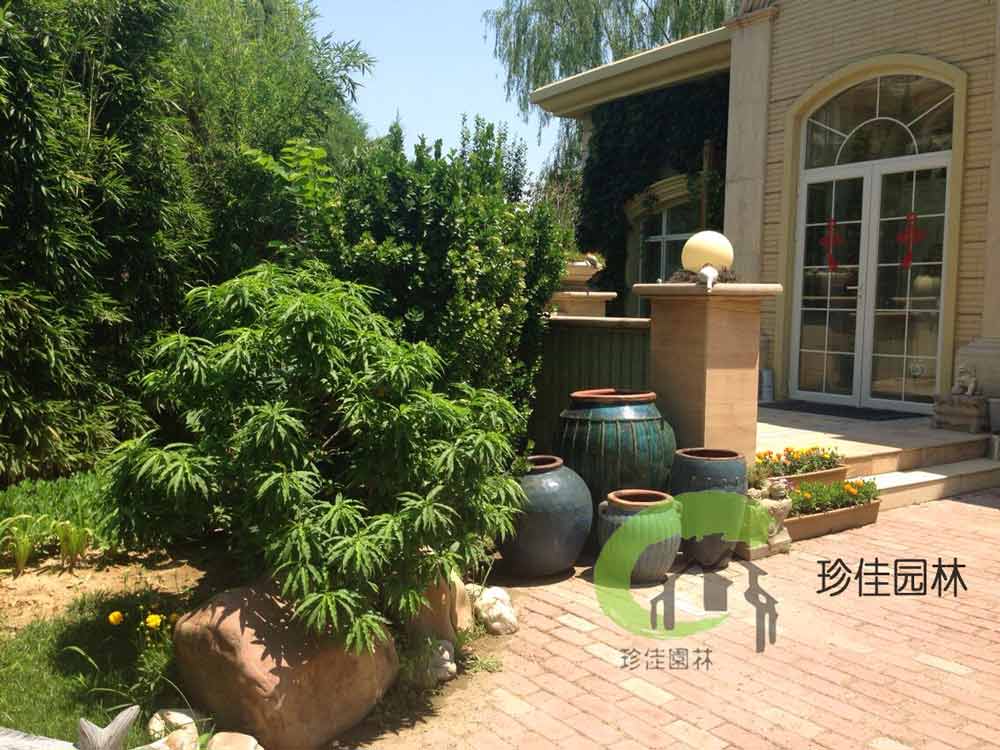 世界杯官网登陆中心